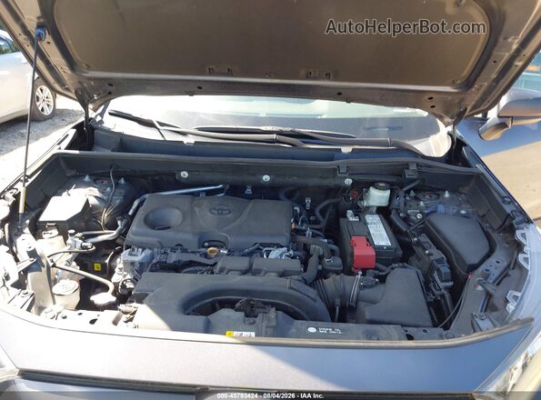 2T3H1RFV5LW096568 2020 TOYOTA RAV4 Gray Widok z tyłu