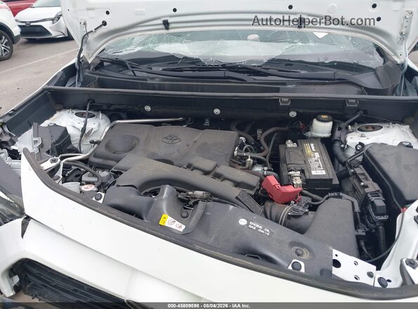 2T3H1RFV6KW004978 2019 TOYOTA RAV4 White Widok z tyłu