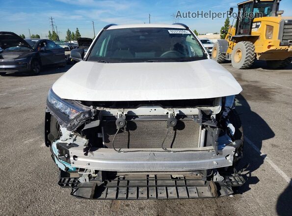 2T3H1RFV6LW066303 2020 TOYOTA RAV4 Белый Вид спереди
