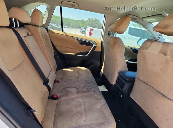 2T3H1RFV6PC228308 2023 TOYOTA RAV4 Белый Вид задних сидений