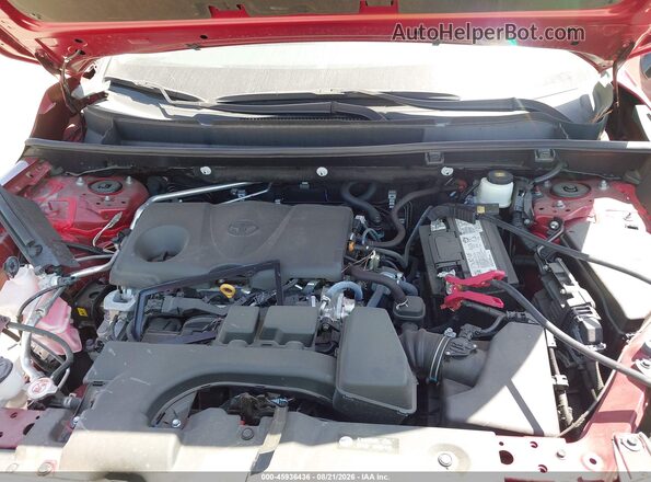 2T3H1RFV8PW294647 2023 TOYOTA RAV4 Бордовый Вид сзади