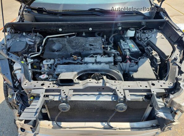 2T3H1RFV9KC026619 2019 TOYOTA RAV4 Gray Սալոնի հետևի տեսք