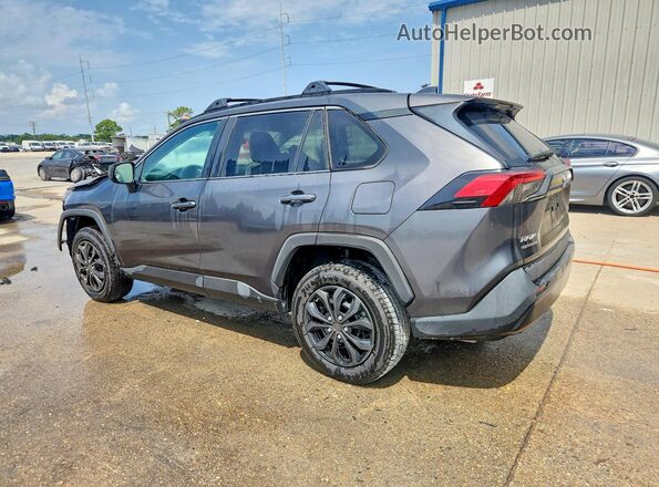 2T3H1RFV9KC026619 2019 TOYOTA RAV4 Gray Հետևի ձախ