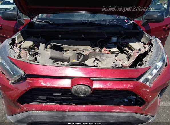 2T3H1RFV9LC083484 2020 TOYOTA RAV4 Red Widok z tyłu