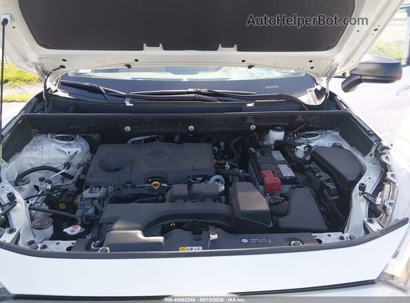 2T3H1RFVXSC333071 2025 TOYOTA RAV4 White Հետևի տեսք