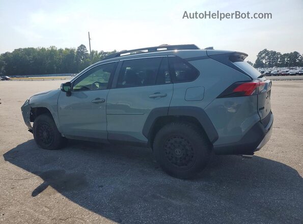 2T3J1RFV0KW041171 2019 TOYOTA RAV4 Gray Հետևի ձախ