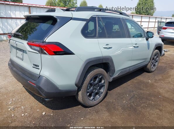 2T3J1RFV6LC127569 2020 TOYOTA RAV4 Green Հետևի աջ
