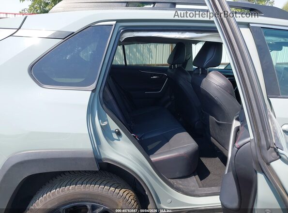2T3J1RFV6LC127569 2020 TOYOTA RAV4 Green VIN կոդի պիտակի տեսք