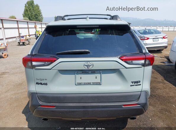 2T3J1RFV6LC127569 2020 TOYOTA RAV4 Green 