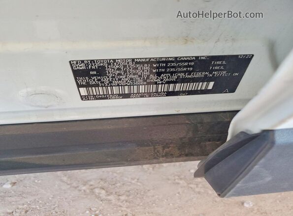 2T3J1RFV6PW336668 2023 TOYOTA RAV4 White Vista del compartimento del motor