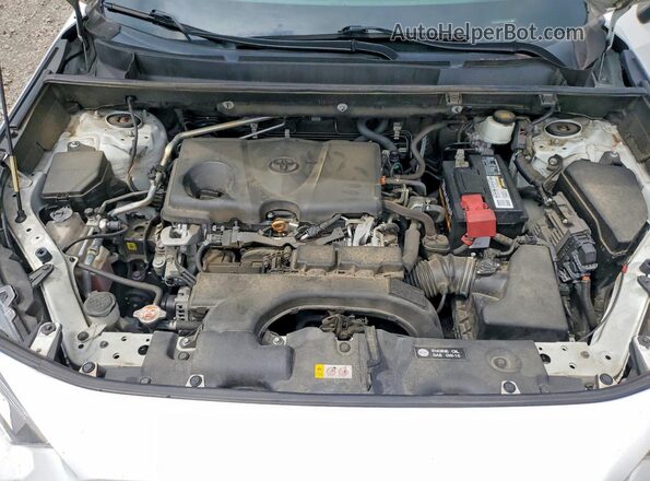 2T3J1RFV8LC090296 2020 TOYOTA RAV4 White Շարժիչի բաժամունքի տեսք