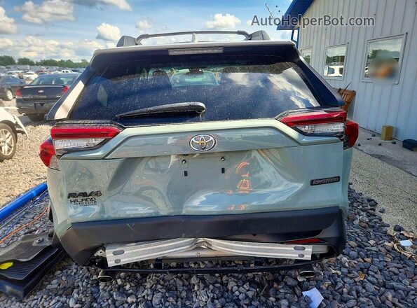 2T3J1RFV9KC006596 2019 TOYOTA RAV4 Серый Вид сзади