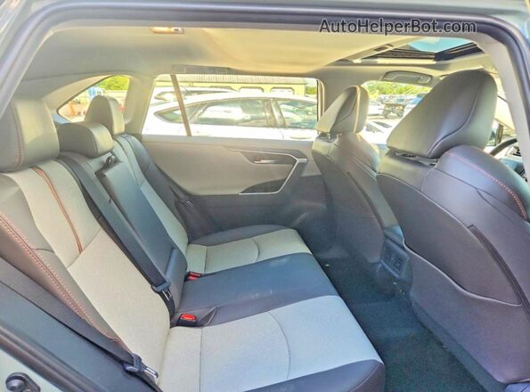 2T3J1RFV9KC006596 2019 TOYOTA RAV4 Серый Вид задней части салона