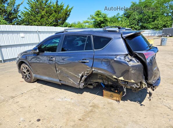 2T3JFREV1HW589787 2017 TOYOTA RAV4 Gray Հետևի ձախ