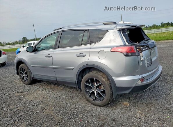 2T3JFREV1HW653486 2017 TOYOTA RAV4 Silver Հետևի ձախ