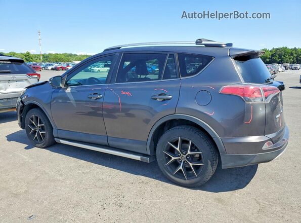 2T3JFREV3GW482397 2016 TOYOTA RAV4 Серый Задняя левая четверть