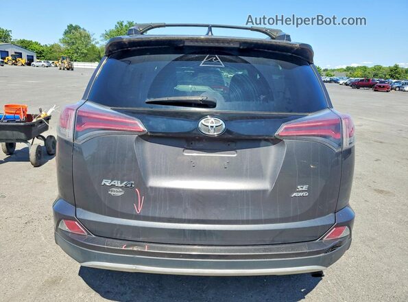 2T3JFREV3GW482397 2016 TOYOTA RAV4 Серый Вид сзади