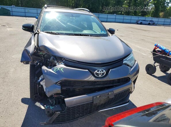 2T3JFREV3GW482397 2016 TOYOTA RAV4 Серый Вид спереди