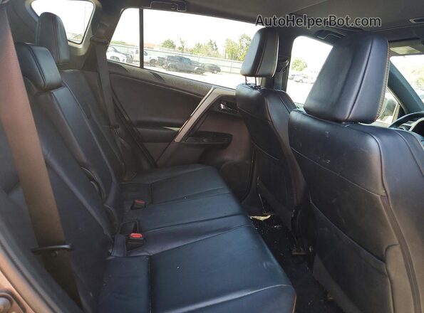 2T3JFREV3GW482397 2016 TOYOTA RAV4 Серый Вид задней части салона