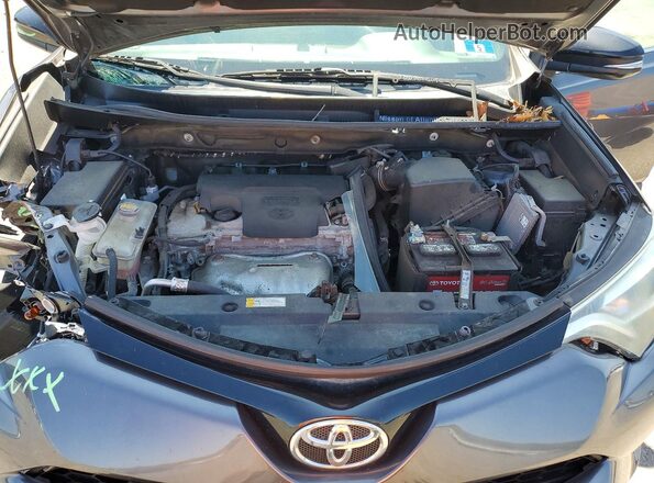 2T3JFREV3GW482397 2016 TOYOTA RAV4 Серый Вид подкапотного пространства