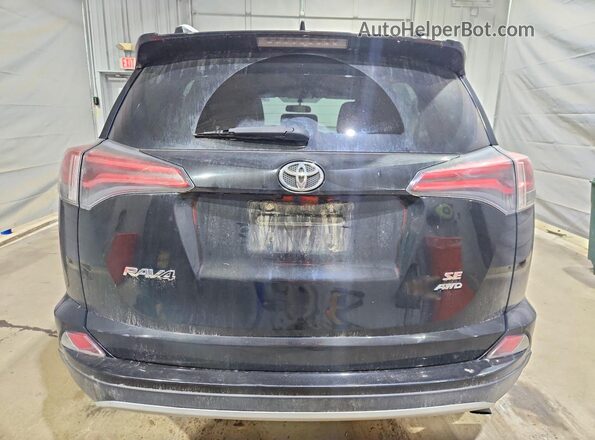 2T3JFREV4GW519134 2016 TOYOTA RAV4 Черный Вид сзади