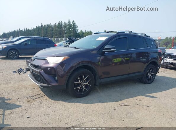 2T3JFREV5GW457940 2016 TOYOTA RAV4 Maroon 