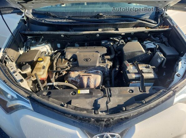 2T3JFREV7GW409596 2016 TOYOTA RAV4 White 