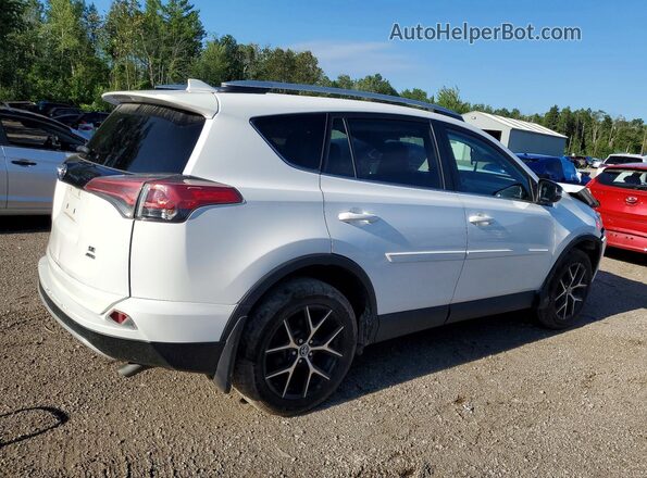 2T3JFREV8GW434796 2016 TOYOTA RAV4 White Rear right