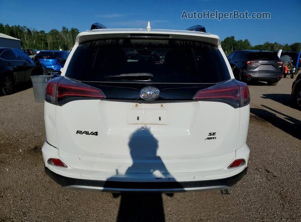 2T3JFREV8GW434796 2016 TOYOTA RAV4 White Rear view