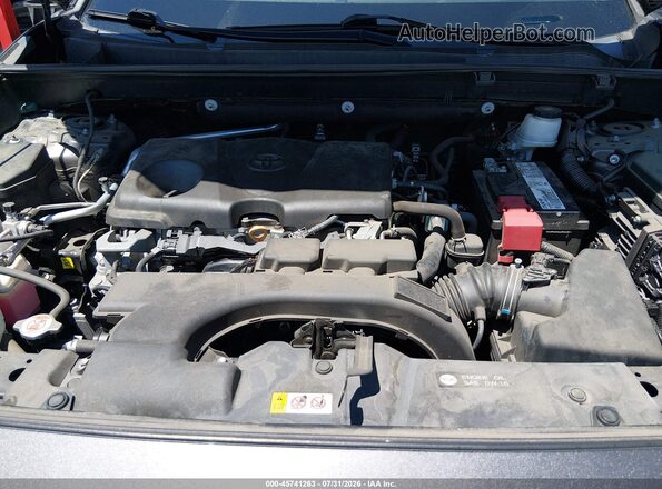 2T3K1RFV4KW005729 2019 TOYOTA RAV4 Серый Вид сзади