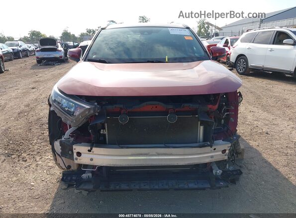 2T3K1RFV6LC059505 2020 TOYOTA RAV4 Red უკანა სალონის ხედი