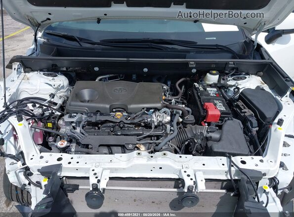 2T3K1RFV6RW356359 2024 TOYOTA RAV4 Белый Вид сзади