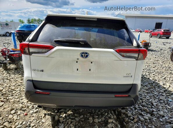 2T3LWRFV2LW084051 2020 TOYOTA RAV4 White Rear view