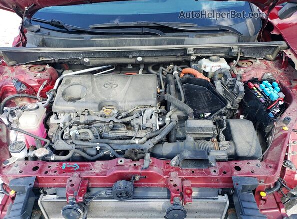 2T3LWRFV5LW095402 2020 TOYOTA RAV4 Red Սալոնի հետևի տեսք