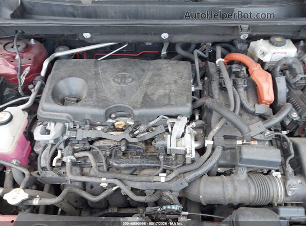 2T3MWRFV0KW021209 2019 TOYOTA RAV4 HYBRID Красный Вид сзади
