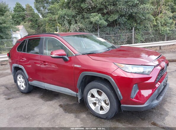 2T3MWRFV0KW021209 2019 TOYOTA RAV4 HYBRID Красный Вид задней части салона