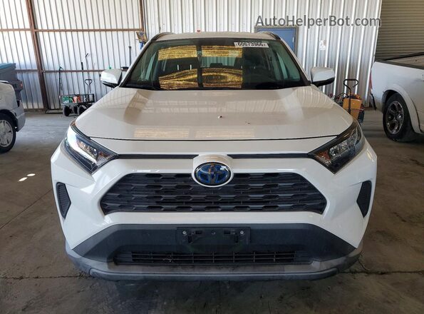 2T3MWRFV6LW083151 2020 TOYOTA RAV4 Белый Вид спереди