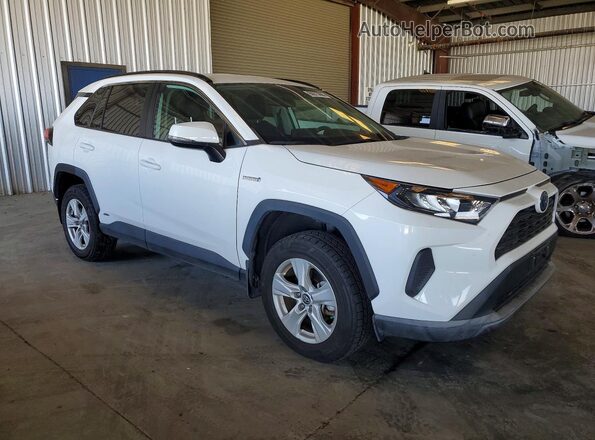 2T3MWRFV6LW083151 2020 TOYOTA RAV4 Белый Передняя правая четверть
