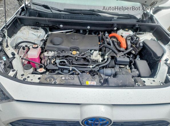 2T3MWRFV7MW127403 2021 TOYOTA RAV4 White Vista del compartimento del motor