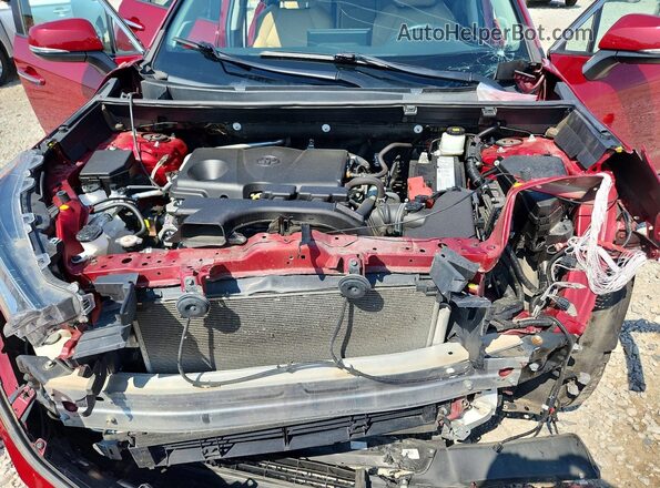 2T3N1RFV6MC143841 2021 TOYOTA RAV4 Red Вид задньої частини салону