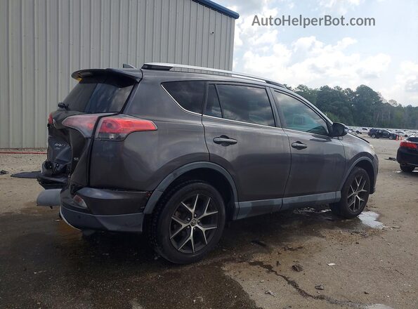 2T3NFREV2GW310010 2016 TOYOTA RAV4 Gray Trasero derecho