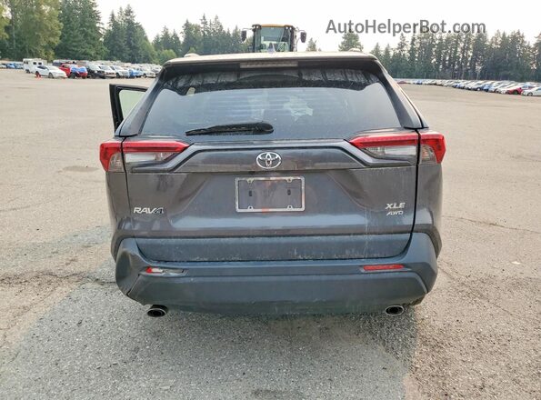 2T3P1RFV0KC015875 2019 TOYOTA RAV4 Gray Rear view