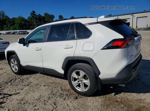2T3P1RFV0KW058630 2019 TOYOTA RAV4 White უკანა მარცხენა