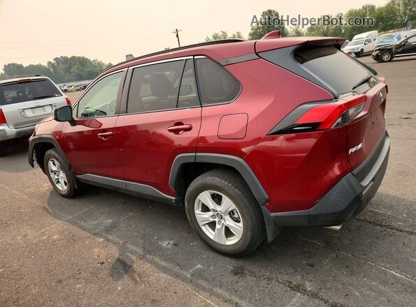 2T3P1RFV0LW100800 2020 TOYOTA RAV4 Red უკანა მარცხენა