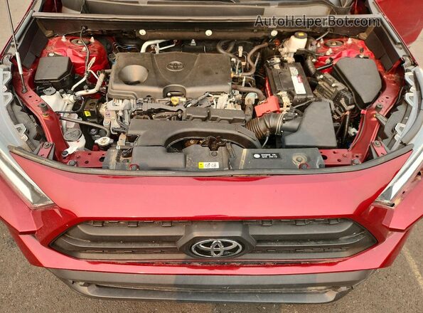 2T3P1RFV0LW100800 2020 TOYOTA RAV4 Red უკანა სალონის ხედი