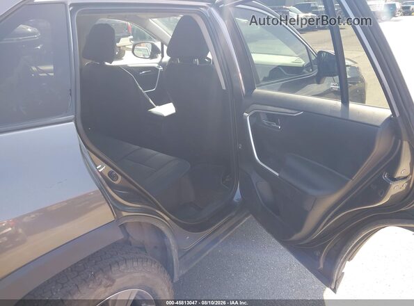 2T3P1RFV0PC333437 2023 TOYOTA RAV4 Gray Vista de la etiqueta del VIN