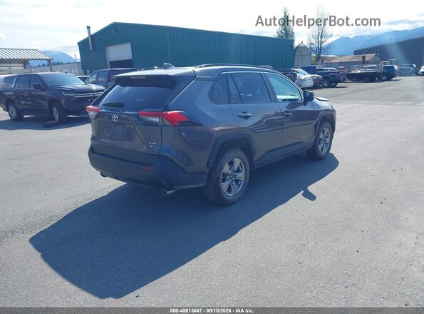 2T3P1RFV0PC333437 2023 TOYOTA RAV4 Gray Trasero derecho