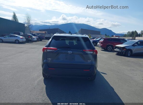 2T3P1RFV0PC333437 2023 TOYOTA RAV4 Gray 