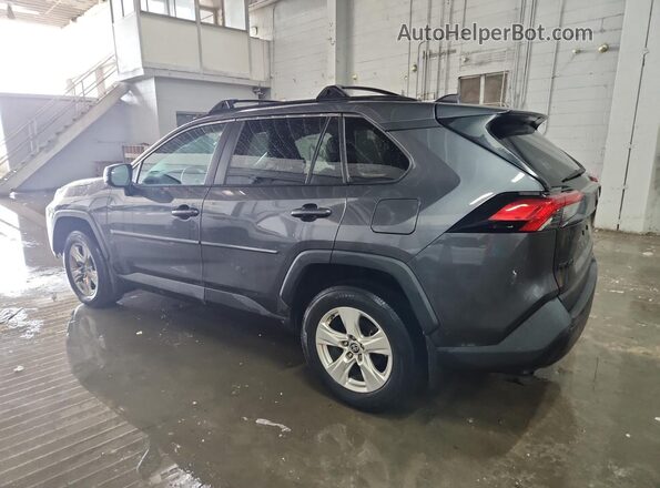2T3P1RFV0PC367068 2023 TOYOTA RAV4 Gray 