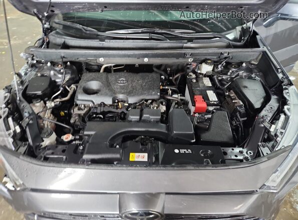 2T3P1RFV0PC367068 2023 TOYOTA RAV4 Gray 